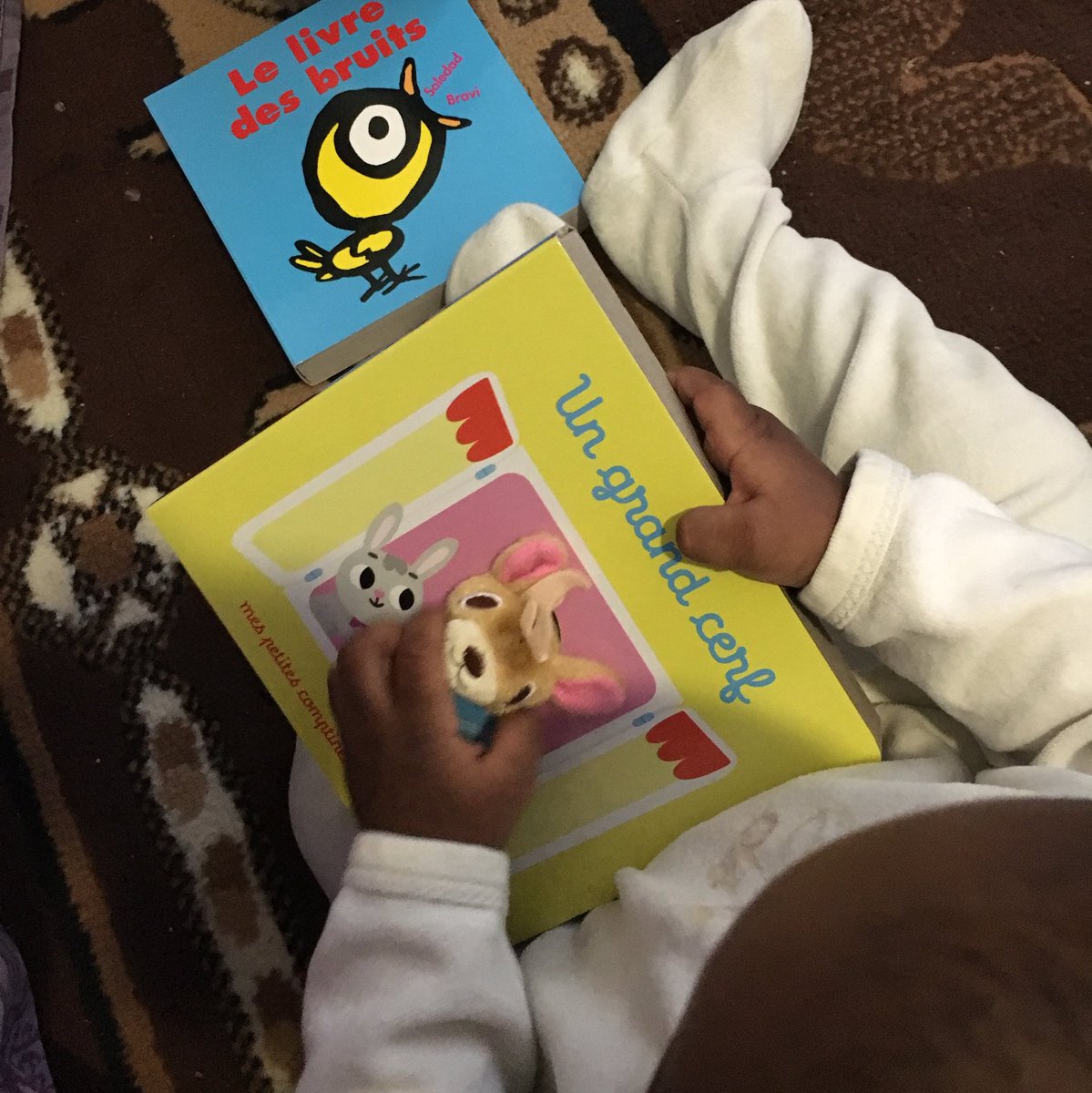 photo des mains d'un bébé tenant le livre pour enfant "un grand cerf"